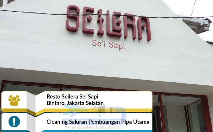 Seilera Sei Sapi Bintaro